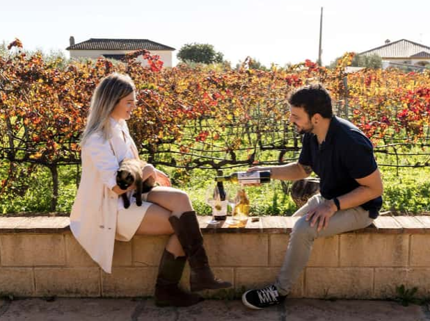 Álora vineyard & cellar visit with 6 wines and tapas